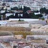 Burgiba tunis
